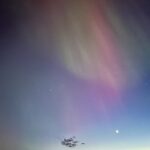 Её сиятельство