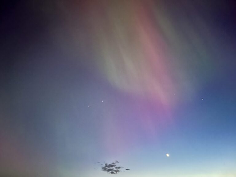 Её сиятельство